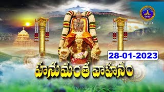 Rathasapthami || Srivari Hanumantha Vahanam || Tirumala || 28-01-2023 || SVBC TTD