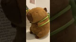 Capybara plush toy  #plushies #cute #youtubeshorts #funny #capybara