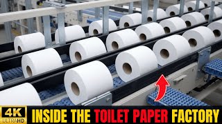 Inside the Toilet Paper Factory - Industrial production process of toilet paper rolls