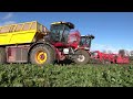 sugarbeet harvesting vervaet beet eater 625 vredo vt5518 3 overload wagon mud