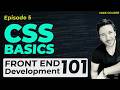 Learn CSS Basics | Coding for Beginners - Ep 5