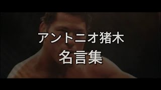 アントニオ猪木 名言集 / プロレスラー