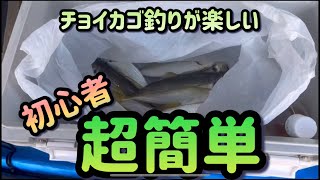 初心者でも出来る超簡単チョイカゴ釣り。