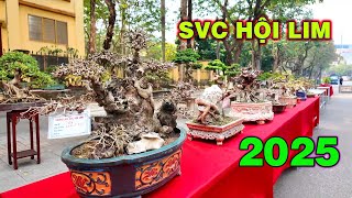 Triển lãm Sinh vật cảnh hội Lim, Tiên Du (Bắc Ninh) 2025