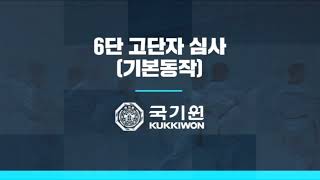 KUKKIWON 6 DAN BASIC