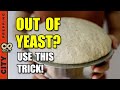 How to Make Yeast From Scratch (DIY) with a Potato