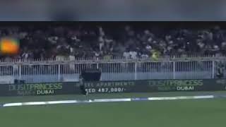 Shane Watson batting against sydney sixers bbl 2017-18