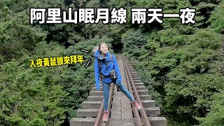 阿里山眠月線兩天一夜│登山野營新手入門路線│走入舊時光隧道、高空鐵道橋、大崩壁│入夜碰黃鼠狼來拜年