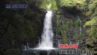 白糸の滝  SHIRAITO FALLS    ～　熊本県西原村     熊本空港    ～