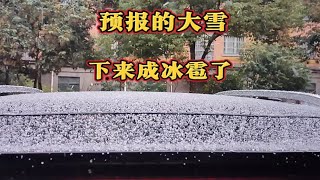 河南温差太大了 前两天20度左右 这又要下暴雪 温度都到零下十度下冰雹 暴雪将至 vlog日常