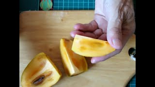 渋柿の渋抜き（あおし柿の作り方） How to remove the astringent taste of astringent persimmon