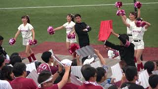 2017年東京六大学秋季リーグ戦特集対東大戦　早稲田快勝！shining編