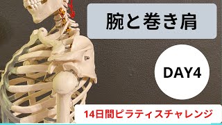 DAY4 // 腕と巻き肩 // 14日間ピラティスチャレンジ#028