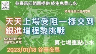 港經佬賽馬貼士及分析｜第七場參賽馬匹資料｜18-01-2023 跑馬地八場夜馬谷草賽事｜免費心水及賽馬貼士｜全方位博彩及投資頻道｜足球｜賽馬｜股票｜樓市 #賽馬貼士