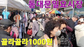 골라골라1000원 구석구석 둘러보기 동대문일요시장