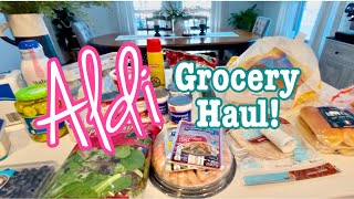 ALDI GROCERY HAUL!