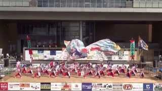 若狭踊り屋祭わ衆　御食国若狭小浜YOSAKOI祭2014　大賞演舞