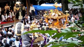 2014.9.7北沢八幡神社の祭礼神輿の宮入(1)