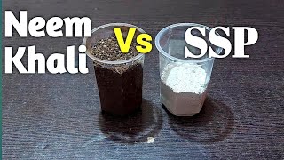 Neem Khali Vs SSP Single Super Phosphate fertilizer for Plants | Which is Better fertilizer