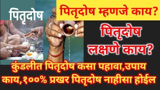 पितृदोष म्हणजे काय? लक्षणे कोणती?१००% उपाय?कुंडलीत दोष आहे का? #pitrudosh #pitrupaksha2024 #पितृपक्ष