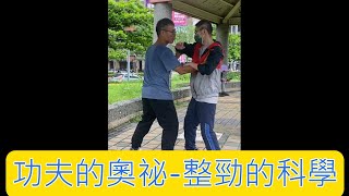 整勁最科學的解釋，拳擊裡的泰森也用整勁。Secret of KUNG-FU. Tyson and Kung-fu