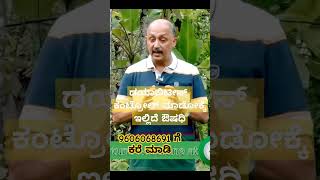 ಸಕ್ಕರೆ ಕಾಯಿಲೆಗೆ ಇಲ್ಲಿದೆ ಅದ್ಭುತ ಔಷಧಿ SUGAR BALANCE,Natural Medicine DIABETES #natural #lifeatnature