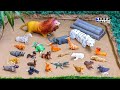 Plastic Toys Zoo Animals in the Mud | Fun & Educational Animal Adventure for Kids | Kidiez TV