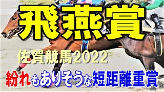 飛燕賞【佐賀競馬2022予想】紛れもありそうな3歳短距離重賞