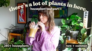 Houseplant Tour 2024 🎉🌿 280+ plants in my small house! (PART 1)