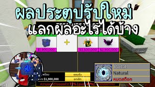 Roblox : Blox Fruits ผลประตูปรับใหม่ แลกผลปีศาจราคาแพงอะไรได้บ้าง!?