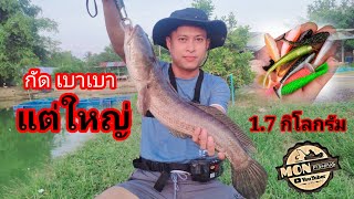 ตกปลาช่อนใหญ่ เหยื่อหนอนยาง Ep.12 MON FISHING