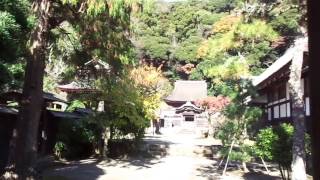 Kamakura, Japan - Engaku-ji Temple - Religious Chant