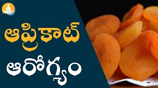 Apricots Health Benefits in Telugu | #drcalmssanjeevani #fruits #fruit #apricots #healthbenefits