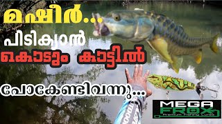 കൊടും കാട്ടിൽ ഒരു മഷീർ പിടുത്തം | catching mehsheer from forest