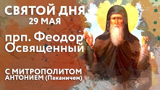 Святой дня. 29 мая. Преподобный Феодор Освященный.