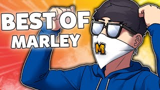 Marley's BEST OF 2020 - Rainbow Six Siege