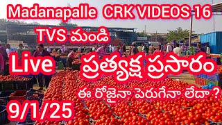 Crk videos16  is live!  Madanapalle Tomato market prices today 🍅 మదనపల్లె టమోటా రేట్లు #crkvideos16