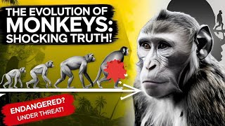 How Humans Changed Monkey Evolution | The Shocking Truth! | Monkey