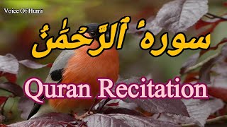 Surah Rahman||World's most beautiful recitation of Surah Ar-Rahman| (سورة الرحمن)