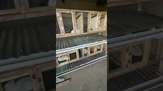 Building Rabbit Cages