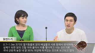 위클리벳 108회 - 살충제 계란과 반려동물의 상관관계?!