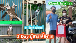 นกกรงหัวจุก Check in พัทยา 1Day ผู้ชายเลี้ยงนกย้ายบ้านมาร์คหัวอินทรี เจ้าขวานเงิน เจ้าขวานทอง Ep.365