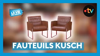 Fauteuils Kusch, une restauration bien méritée⎮ La vie des objets