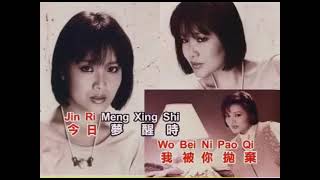 龍飄飄  - 你是負心人 【Original Karaoke】