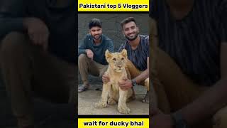 Top 5 Vloggers of Pakistan wait for it #shorts #duckybhai #maazsafder #sistrology #shahveerjafry