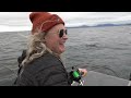 huge halibut in alaska bigger than sara catch clean cook