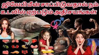 ஜிலேபி மீன் சாப்பிடுவதால் நம் உடலில் ஏற்படும் அதிசயங்கள் intresting facts about tilapia