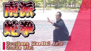 Southern Shaolin martial arts [Snake Fist] (Kung Fu that widely influenced Kung Fu Panda etc.)