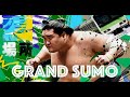 Grand Sumo now on Swerve Combat!