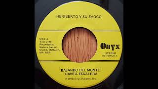 Heriberto Y Su Zaogo - Bajando Del Monte (Heriberto Y Su Saoco)